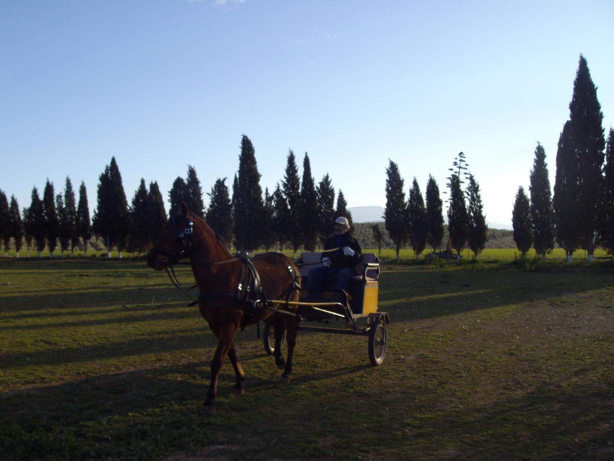 Cortijo Ferradores Humilladero 外观 照片