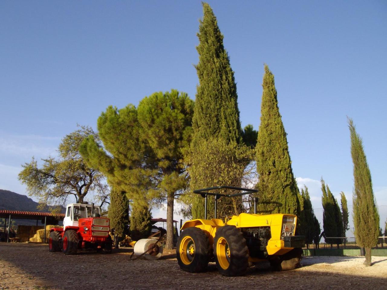 Cortijo Ferradores Humilladero 外观 照片