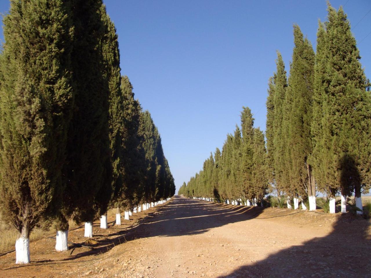 Cortijo Ferradores Humilladero 外观 照片