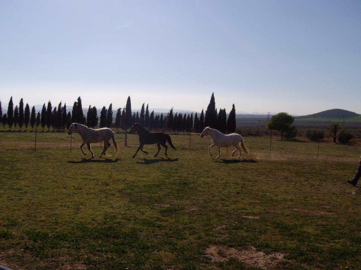 Cortijo Ferradores Humilladero 外观 照片