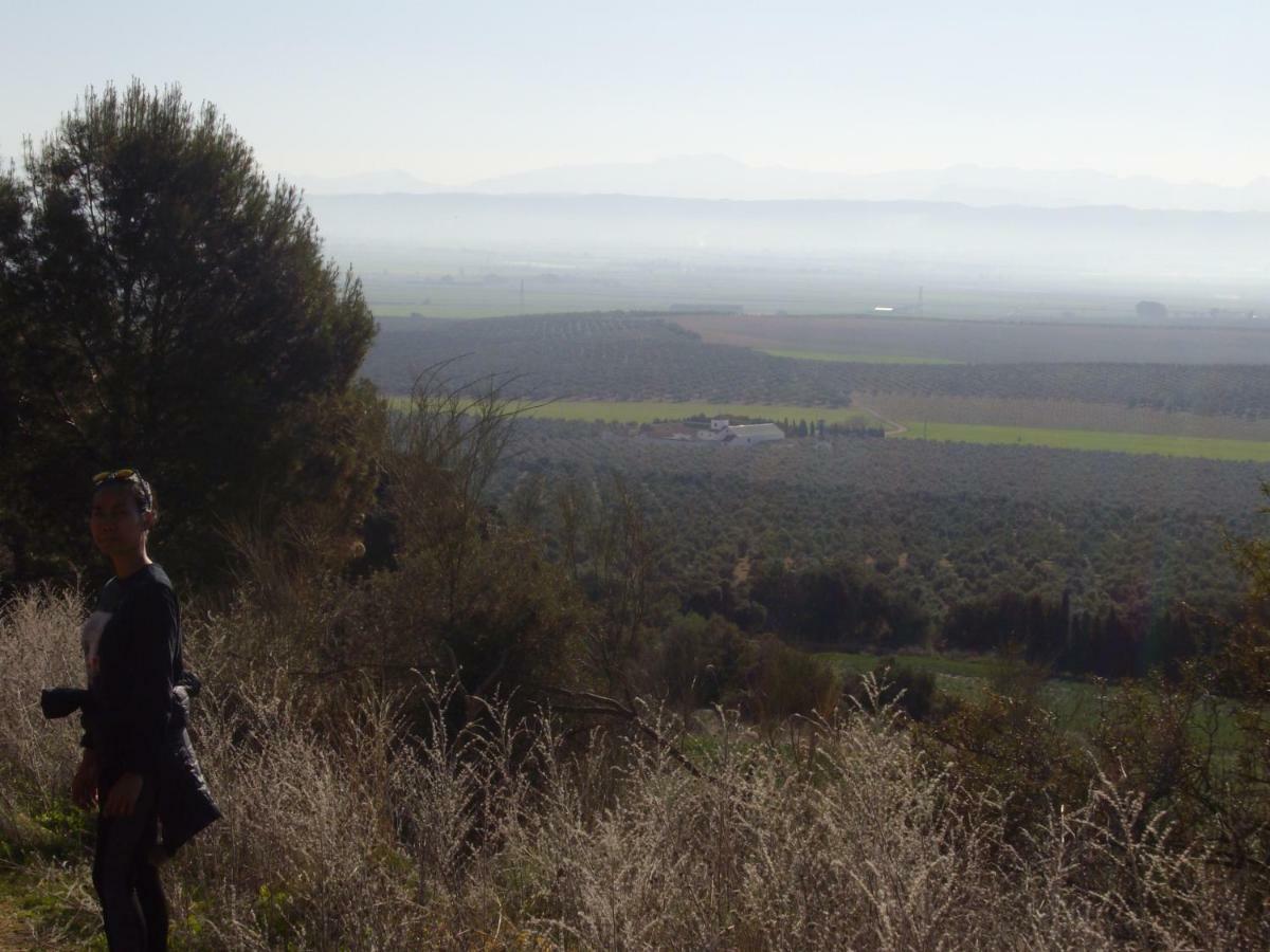 Cortijo Ferradores Humilladero 外观 照片