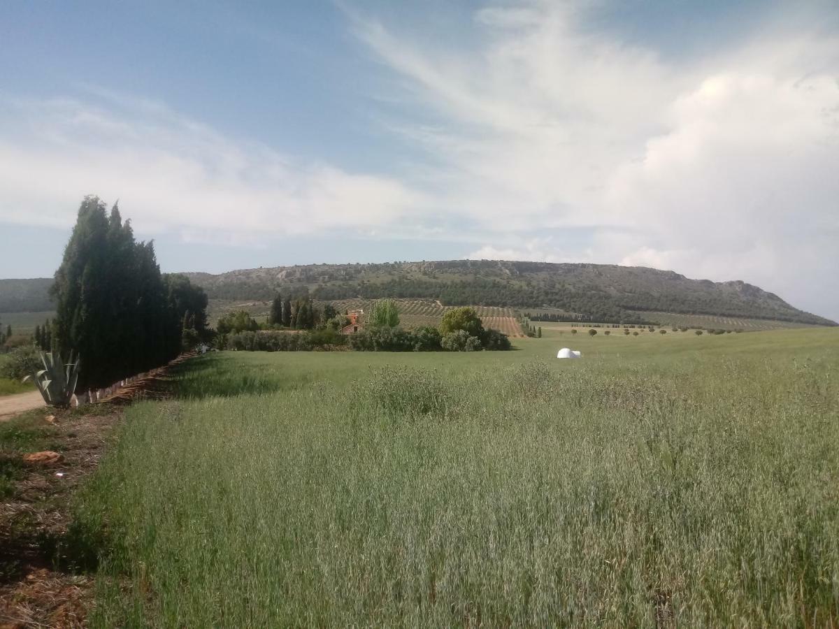 Cortijo Ferradores Humilladero 外观 照片