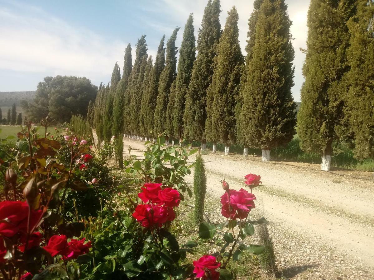 Cortijo Ferradores Humilladero 外观 照片