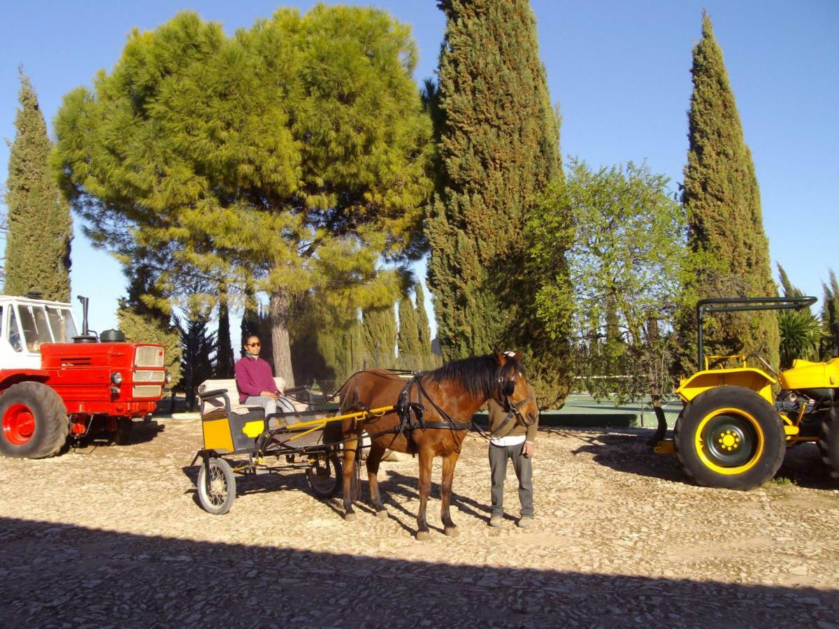 Cortijo Ferradores Humilladero 外观 照片